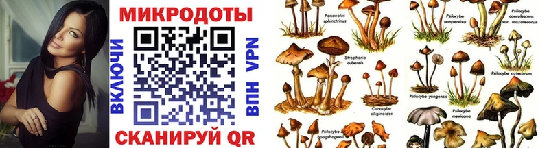Псилоцибиновые грибы GOLDEN TEACHER  Тихвин 